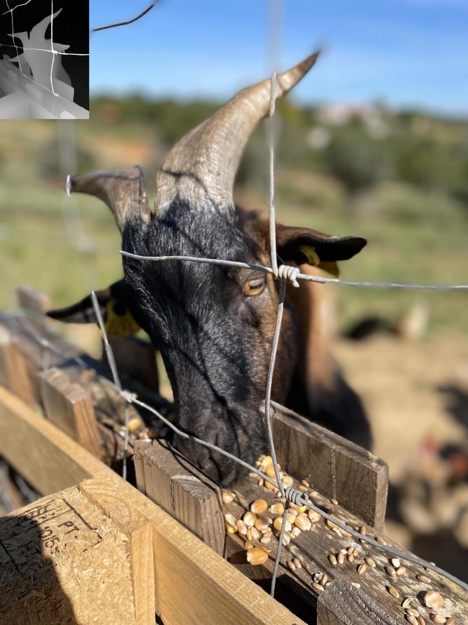 Monte Das Areias Casa De Campo/Passadico/Pateo/Rampa Porches  Εξωτερικό φωτογραφία
