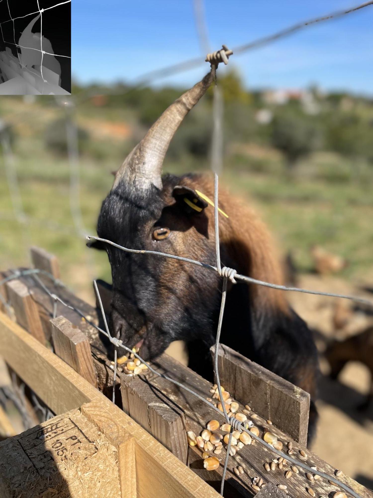 Monte Das Areias Casa De Campo/Passadico/Pateo/Rampa Porches  Εξωτερικό φωτογραφία